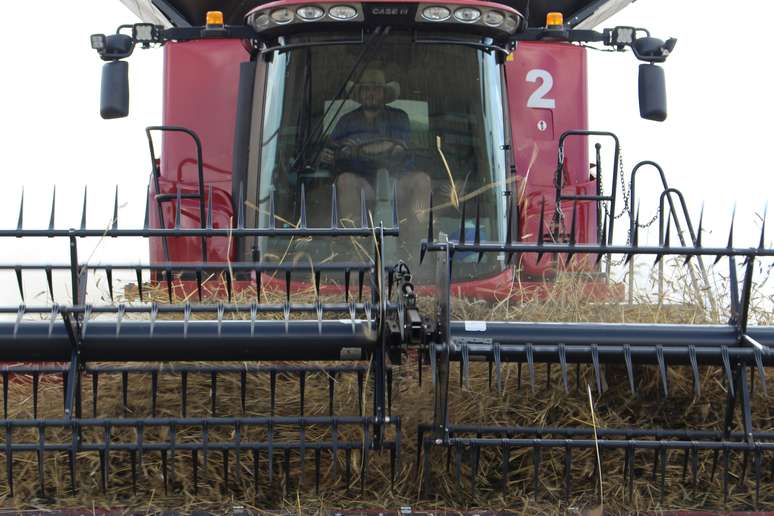 Benef&iacute;cio tribut&aacute;rio vale para m&aacute;quinas agr&iacute;colas 
12/03/2021
REUTERS/Jonathan Barrett