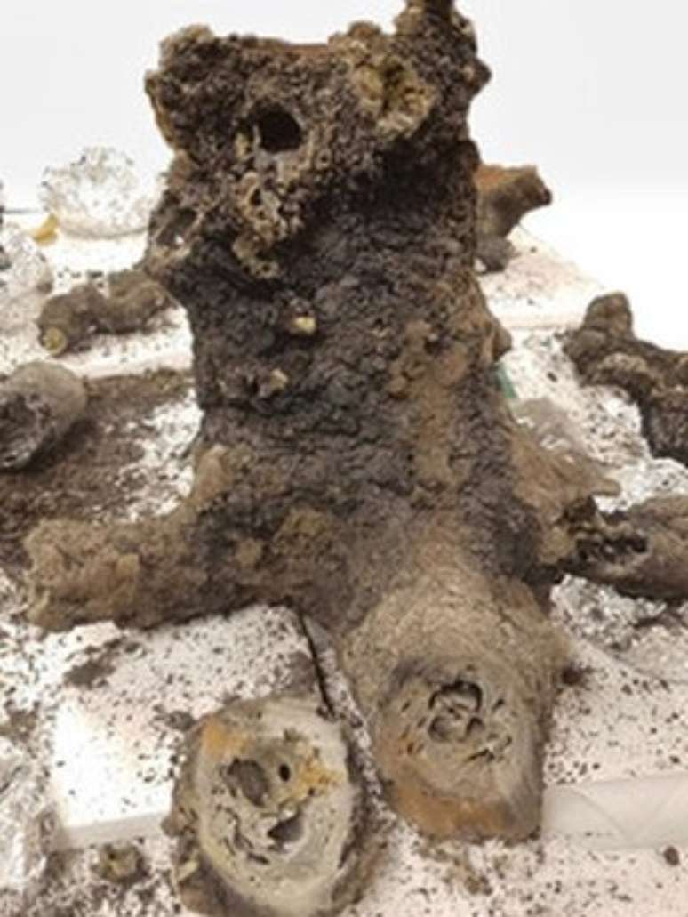 Fulguritos s&atilde;o formados quando um raio atinge a Terra