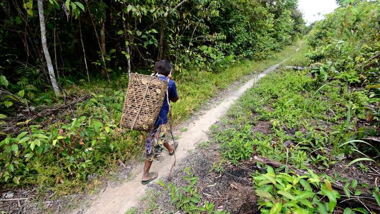 Alguns dias depois da operação que não conseguiu vacinar os Jamamadi, cacique mudou de ideia e equipe voltou no território, mas maioria ainda não foi vacinada