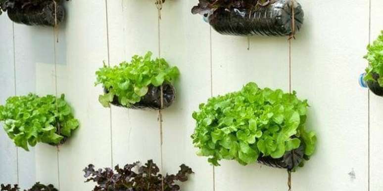 19. As folhas de alface da horta com garrafa PET trazem cor para a parede da casa. Fonte: Pinterest