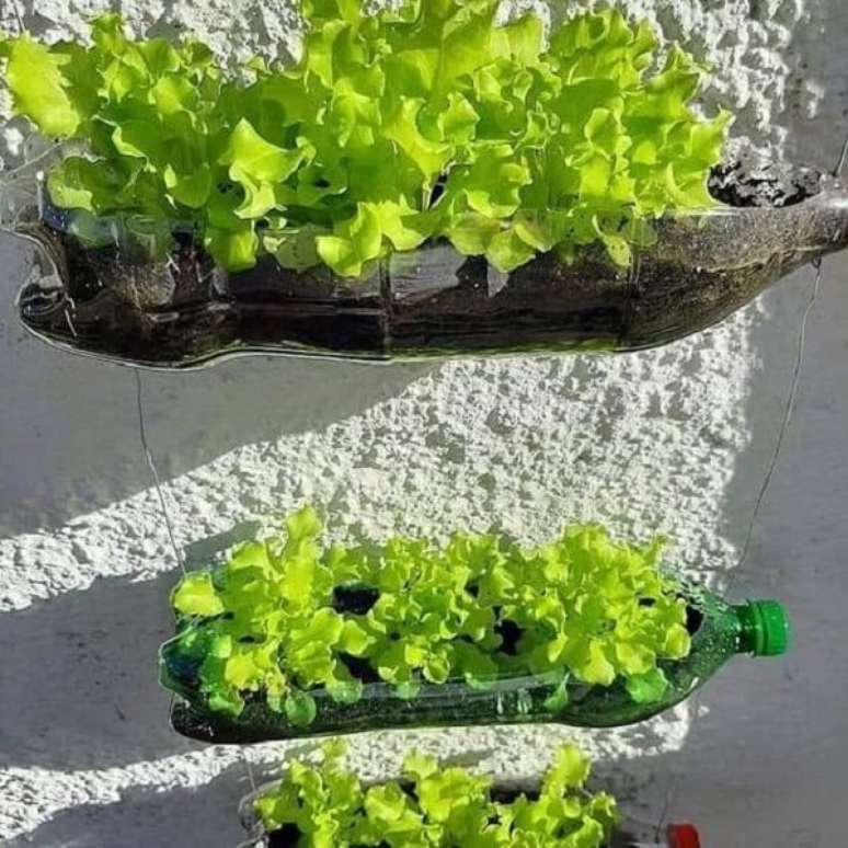 17. A horta com garrafa PET é simples, prática e eficiente. Fonte: Pinterest