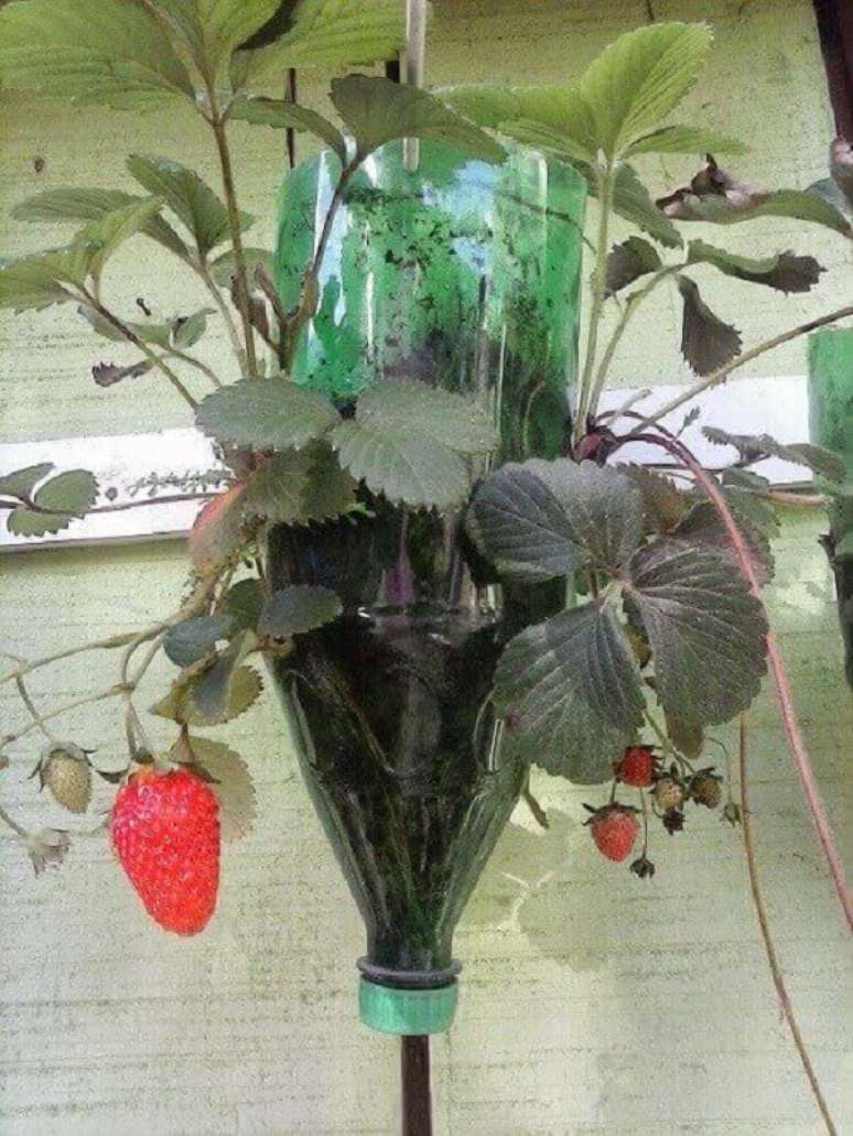22. A horta com garrafa PET permite o cultivo de morangos. Fonte: Pinterest