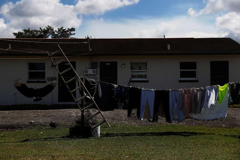 Roupas no varal na parte de tr&aacute;s de um apartamento, enquanto um urubu voa, em meio &agrave; pandemia de Covid-19, em West Belle Glade, Fl&oacute;rida, 9 de fevereiro de 2021. REUTERS/Shannon Stapleton