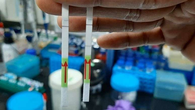 Consórcio de 10 laboratórios na Índia está sequenciando amostras do coronavírus