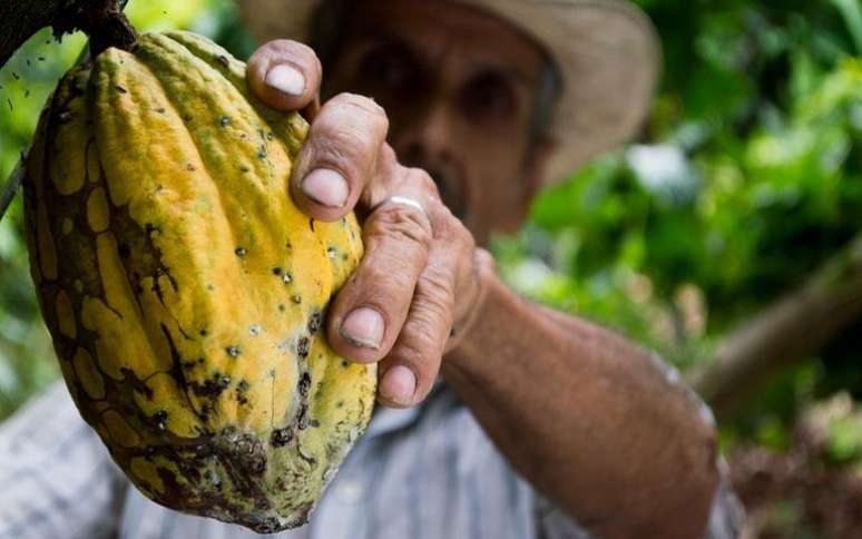 Conheça mais sobre o fruto dos deuses e seu ritual. -