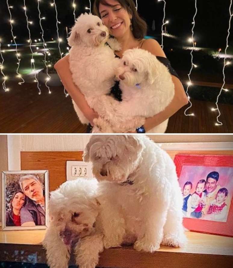 Natasha com os cães que alegram a casa: “Amor puro”