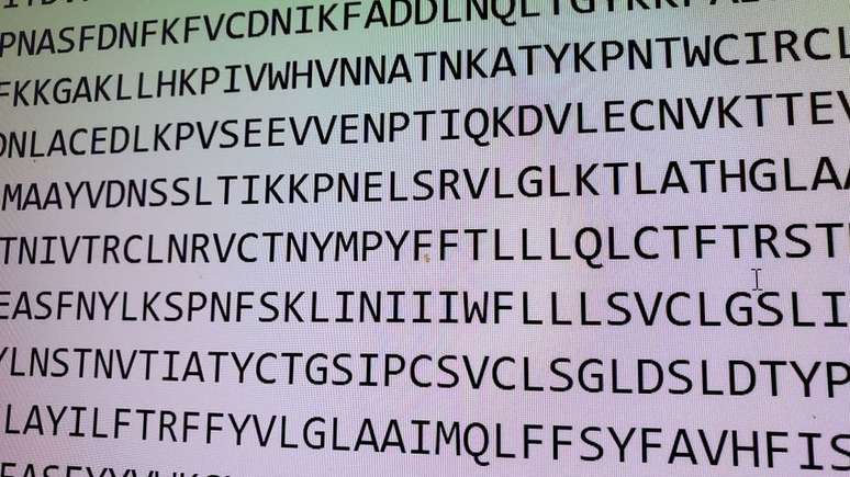 O genoma do SARS-CoV-2 &eacute; expresso em 30 mil letras