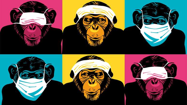 Pesquisas sobre automedicação animal começaram há 35 anos, quando cientista se surpreendeu ao encontrar um chimpanzé mastigando uma planta amarga