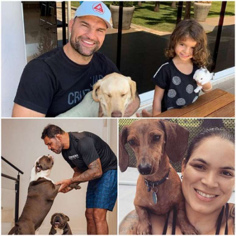 Shogun, Minotouro e Amanda Nunes compartilham imagens de seus pets nas redes sociais (Foto: Reprodução)