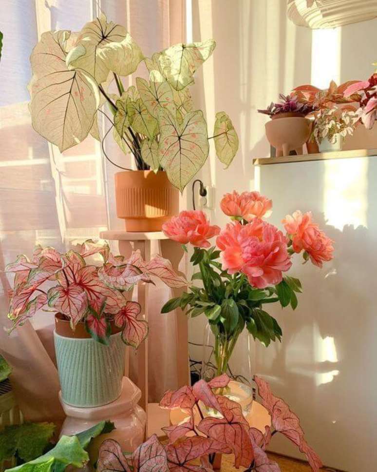 25. Flores e plantas cor de rosa para decoração – Foto Pinterest