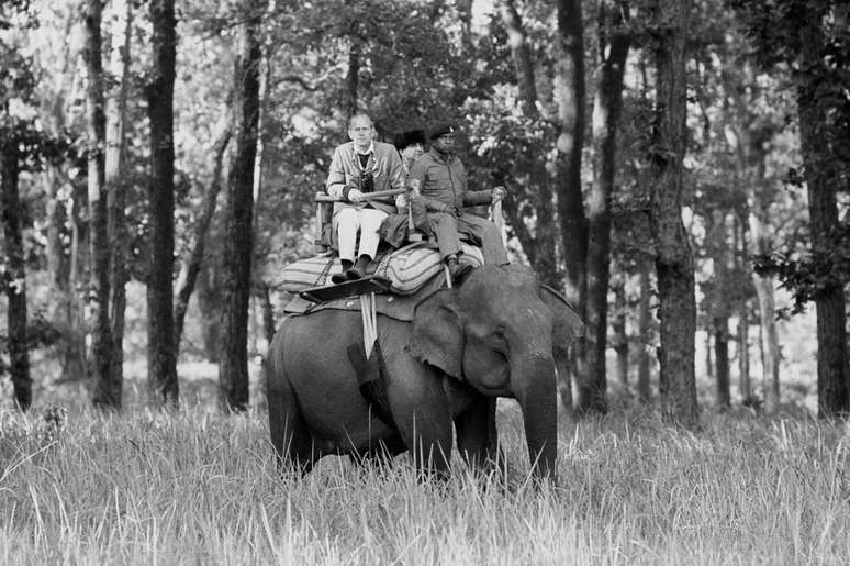 Natureza e conservação foram as paixões de toda a vida do duque de Edimburgo. Durante muitos anos, ele foi o presidente internacional do World Wildlife Fund (WWF)
