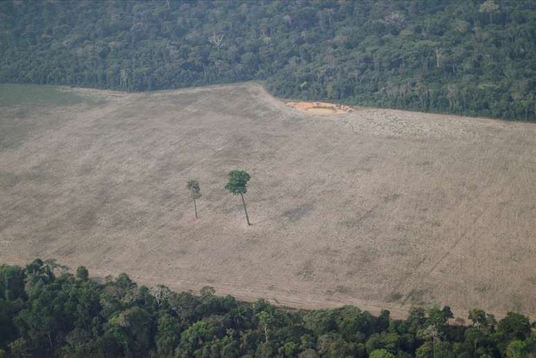 Área desmatada da floresta amazônia na região de Porto Velho (RO) 
14/08/2020
REUTERS/Ueslei Marcelino