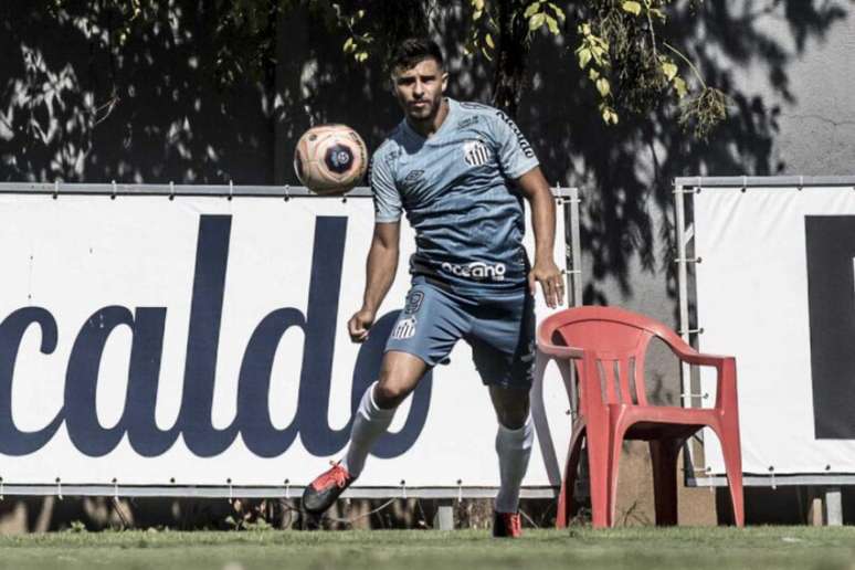 Fernando Pileggi fez dois jogos pelo time profissional do Santos (Foto: Ivan Storti/Santos FC)