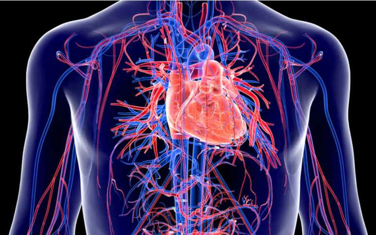 Sistema cardiovascular também pode ser afetado pela Covid 19