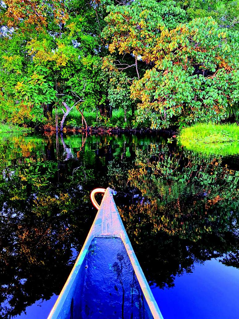 Ref&uacute;gio Caiman, no Pantanal