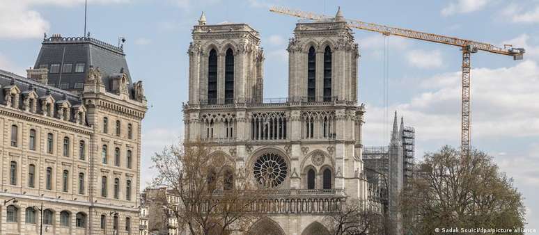 Cerca de 2 mil carvalhos serão usados para reconstruir a estrutura do telhado e o pináculo da Notre-Dame