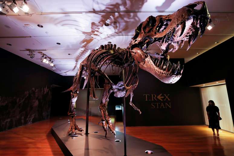 Esqueleto de Tyrannosaurus Rex em Nova York
 15/9/2020   REUTERS/Mike Segar