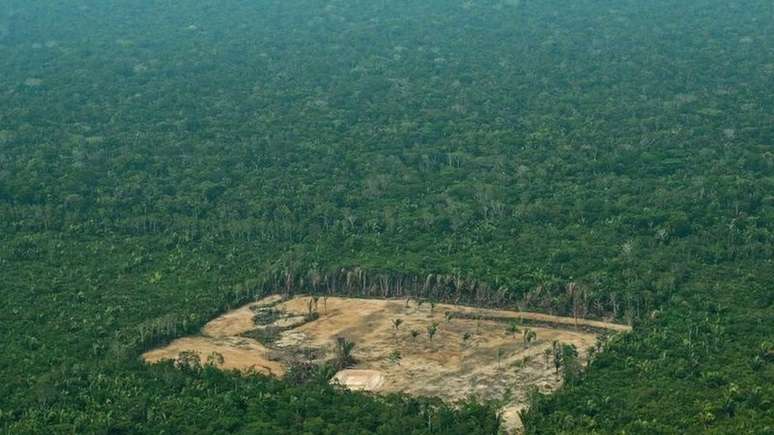 Ambientalistas dizem que aprovação da proposta de Irajá alimentaria a grilagem de terras, uma das principais causas para o desmatamento na Amazônia
