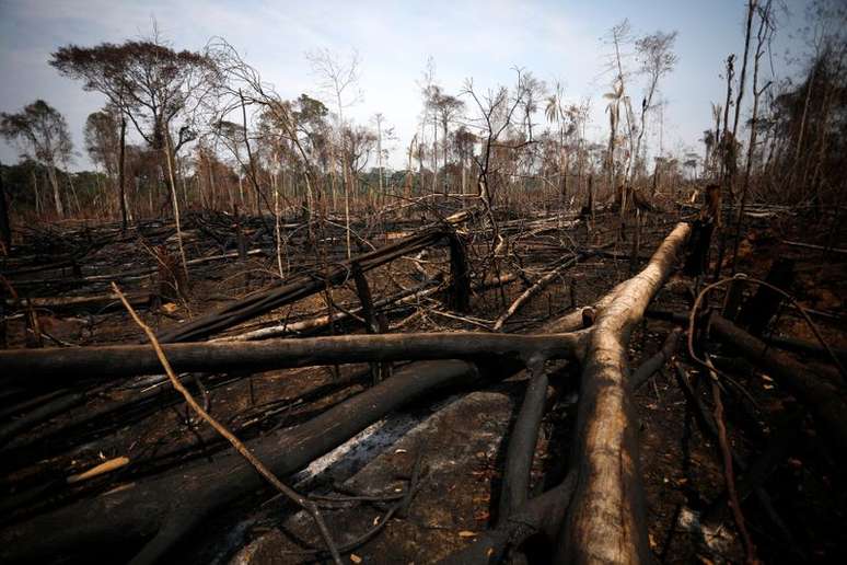 Vista de &aacute;rea desmatada na Floresta Nacional Bom Futuro, em Rond&ocirc;nia
12/09/2019 REUTERS/Bruno Kelly