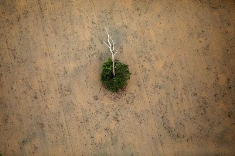 Área desmatada da floresta amazônica
17/09/2019
REUTERS/Bruno Kelly