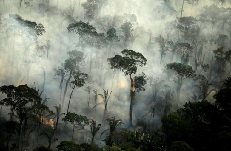 Brasil chega a encontro multilateral pressionado a reduzir desmatamento na Amazônia