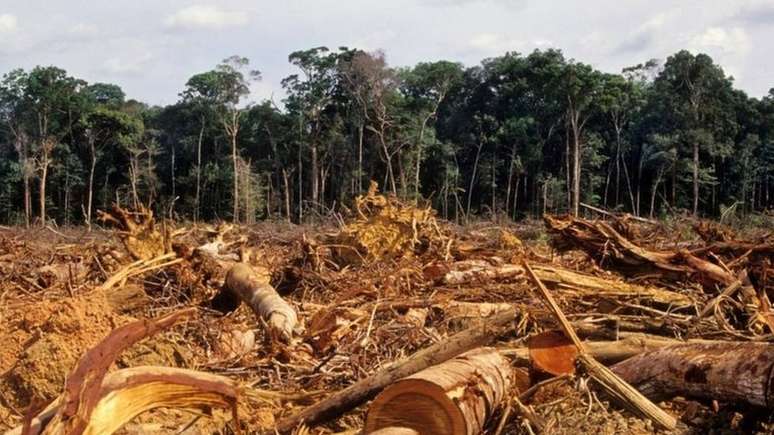 Levantamento preliminar feito pelo Instituto Imazon registrou em março a maior taxa de destruição da Amazônia para aquele mês em dez anos