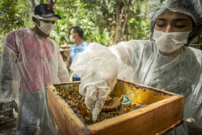 Peabiru aposta nas vendas online para contornar dificuldades na pandemia