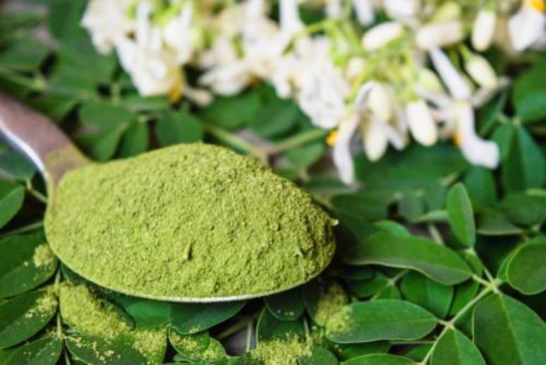 Moringa: Conheça 3 receitas com a planta -