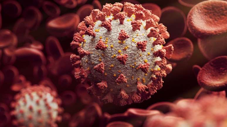 Prote&iacute;na S &eacute; caracter&iacute;stica comum entre os coronav&iacute;rus