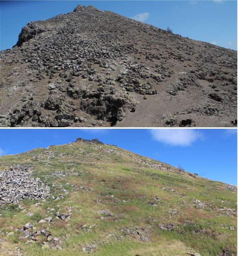 Fotos tiradas em 2012 (acima) e 2020 (embaixo) mostram a transformação da ilha