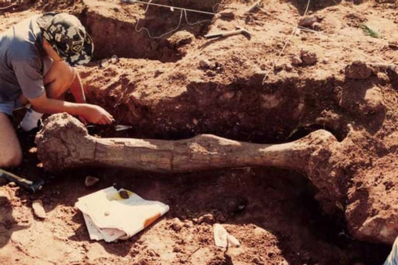 As escavações demonstraram que o gigante jurássico media cerca de 20 metros de comprimento.