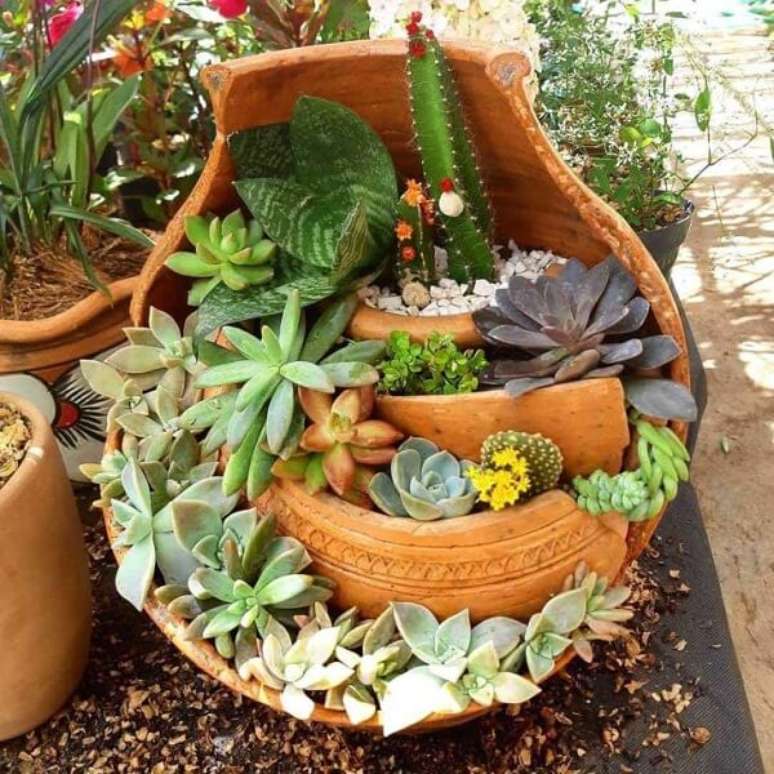 66. Reutilize vasos de casa para montar um mini jardim de suculentas. Fonte: Essência da Terra