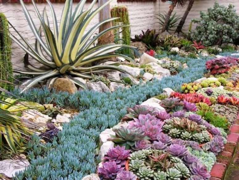 7. É possível formar lindas forrações com o jardim de suculentas. Fonte: Pinterest