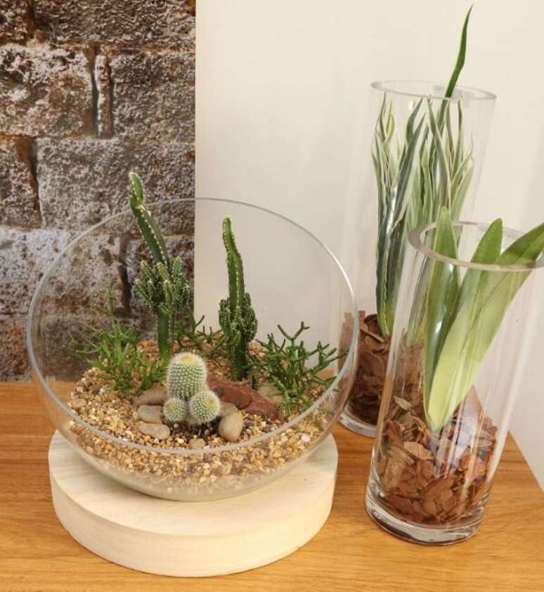 29. Mini jardim de suculentas para decorar os ambientes internos de casa. Projeto por Bianchi & Lima Arquitetura