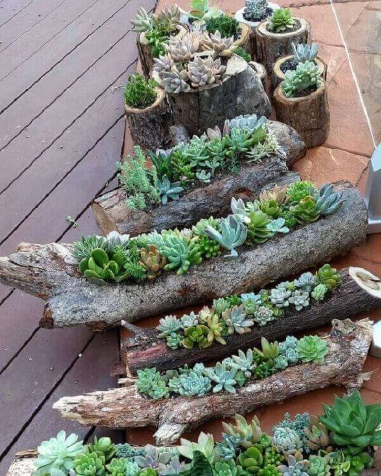 43. Utilize troncos de madeira como base para seu jardim de suculentas. Fonte: 1001 Ideias