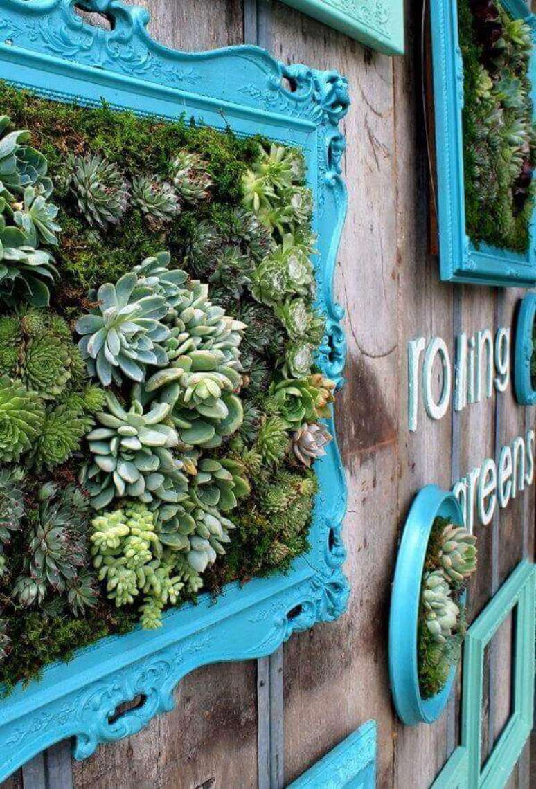 35. O jardim de suculentas foi fixado em uma moldura com tom azul tiffany. Fonte: Rolling Greens