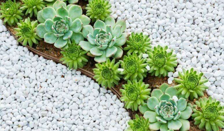8. Jardim de suculentas e pedras dolomitas brancas realçam a cor de cada flor. Fonte: Pinterest