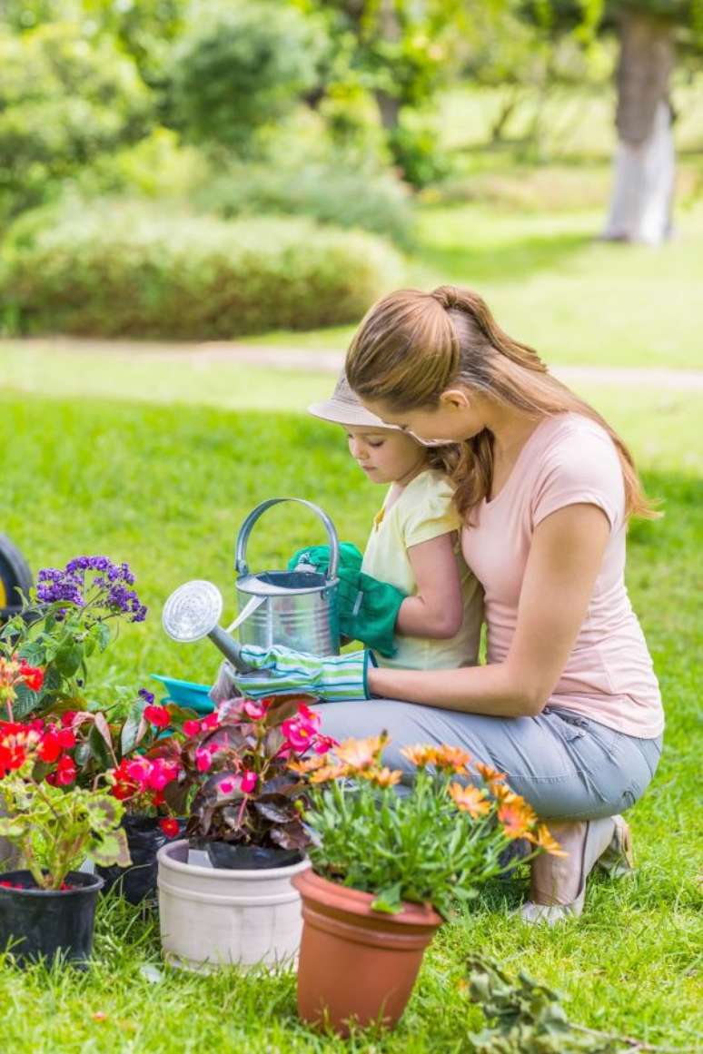 3. Calandivas coloridas para jardim – Foto Herald Standard