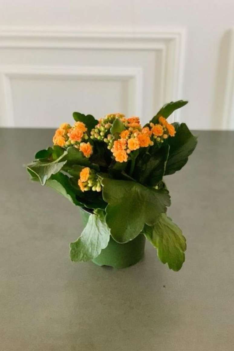 17. Centro de mesa com calandiva &ndash; Foto Chalet Nursery