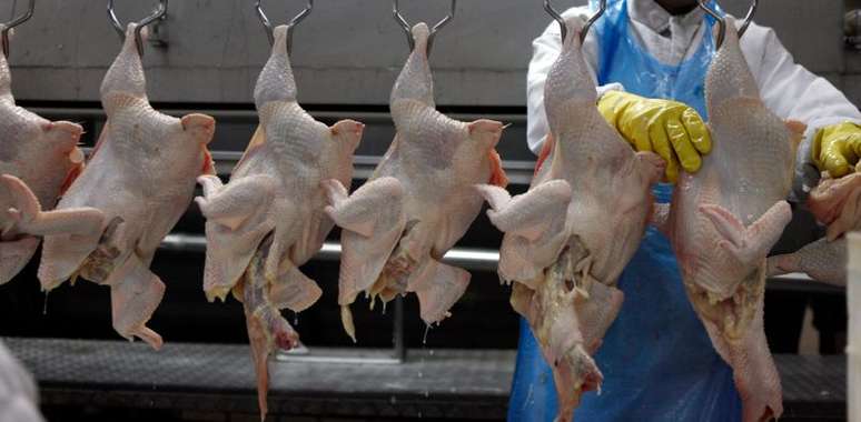 Carne de frango em frigorífico em Itatinga (SP) 
04/10/2011
REUTERS/Paulo Whitaker 