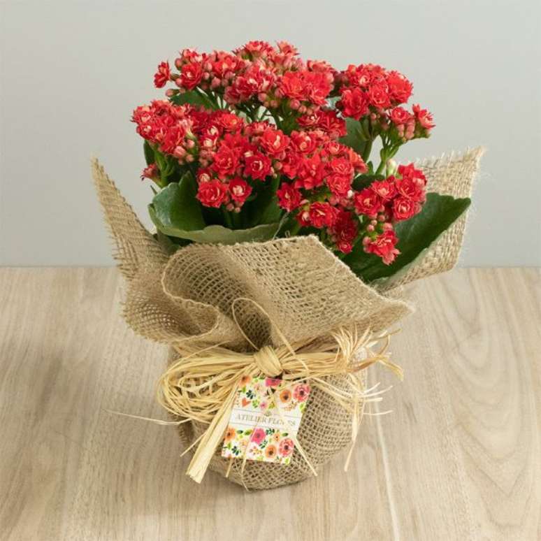 10. Mini calandiva vermelha com vaso decorado com juta – Foto atelier Flores