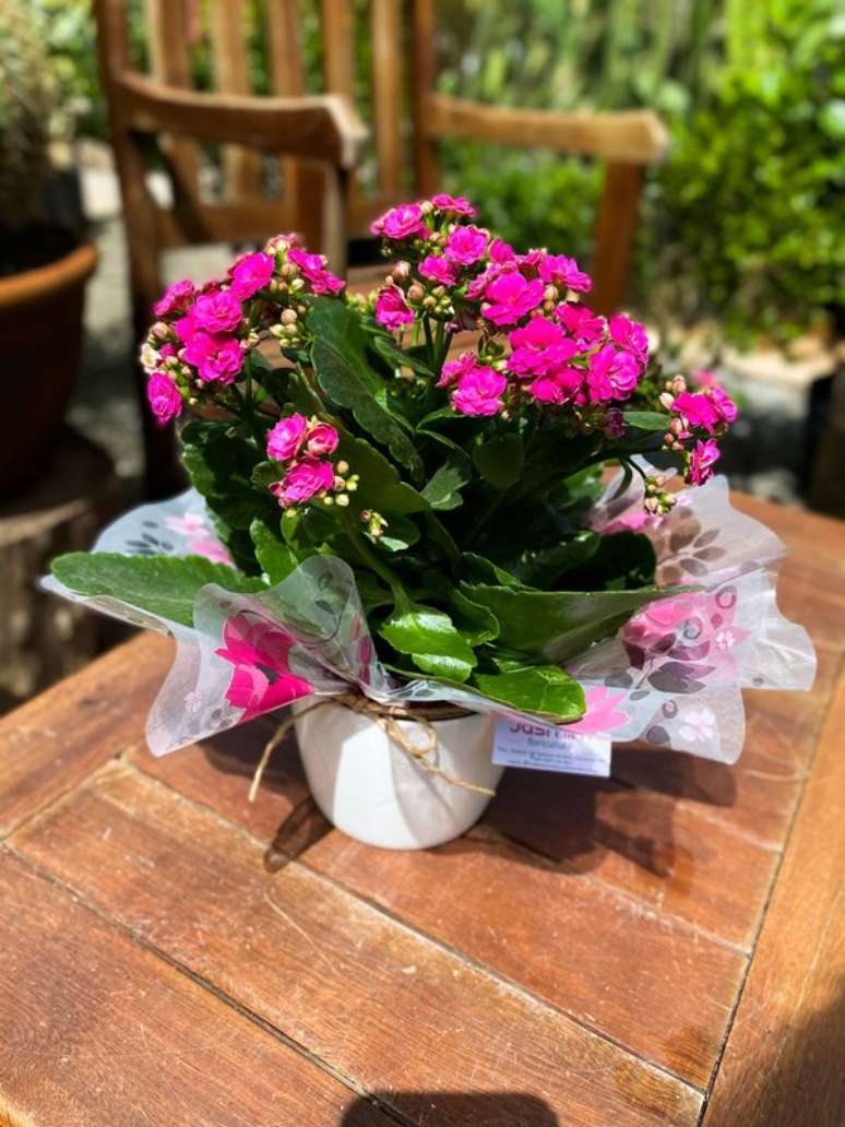 41. Calandiva na decora&ccedil;&atilde;o de area externa &ndash; Foto Floricultura Jasmim