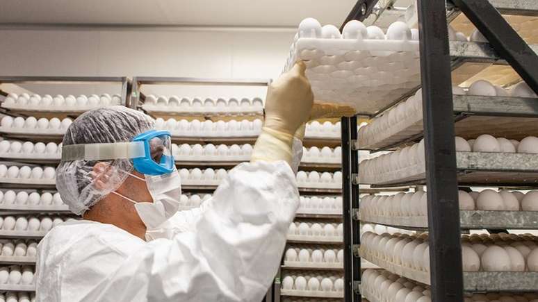 Estimando-se que de cada ovo seja possível tirar duas doses da ButanVac, passarão pelo instituto 20 milhões de ovos para produzir as 40 milhões de doses prometidas pelo governo no próximo semestre - caso esse prazo seja de fato cumprido