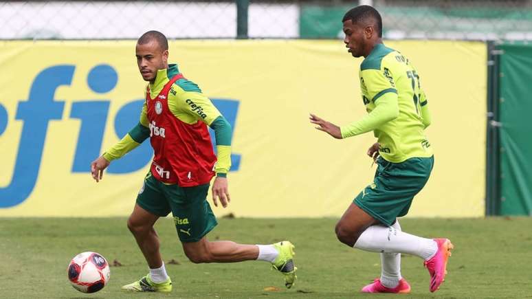 Verdão vai em busca da classificação para os mata-matas do Paulistão (Foto: Cesar Greco/Palmeiras)