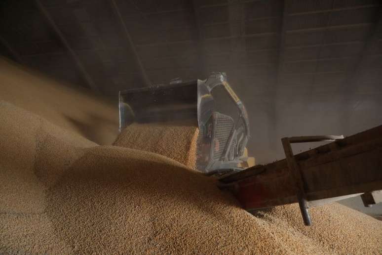 Armaz&eacute;m com estoque de milho
REUTERS/Henry Romero