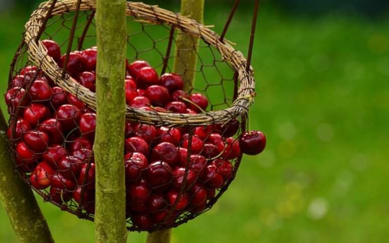 Benefícios das frutas vermelhas: descubra 5 deles