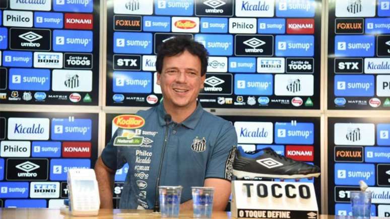 Fernando Diniz elogiou bastante a dupla Alison e Marinho (Foto: Divulgação/Santos FC)