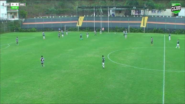 O Palmeiras não teve dificuldades para vencer o Botafogo (Foto: Reprodução/MyCujoo)