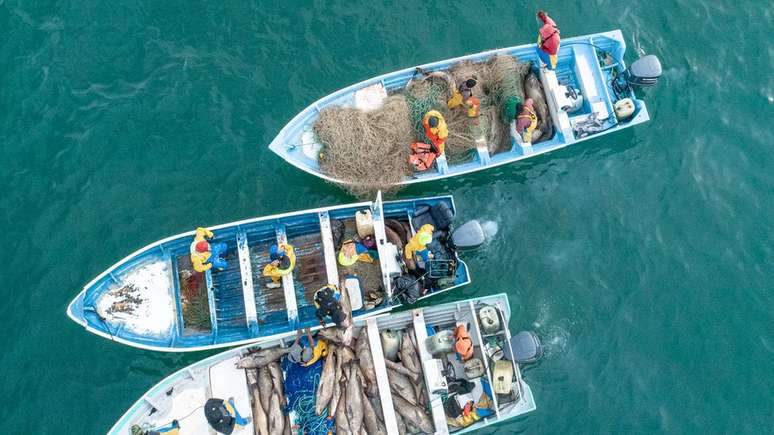 Pescadores de cidades próximas a San Felipe se beneficiaram com a extração ilegal da totoaba.