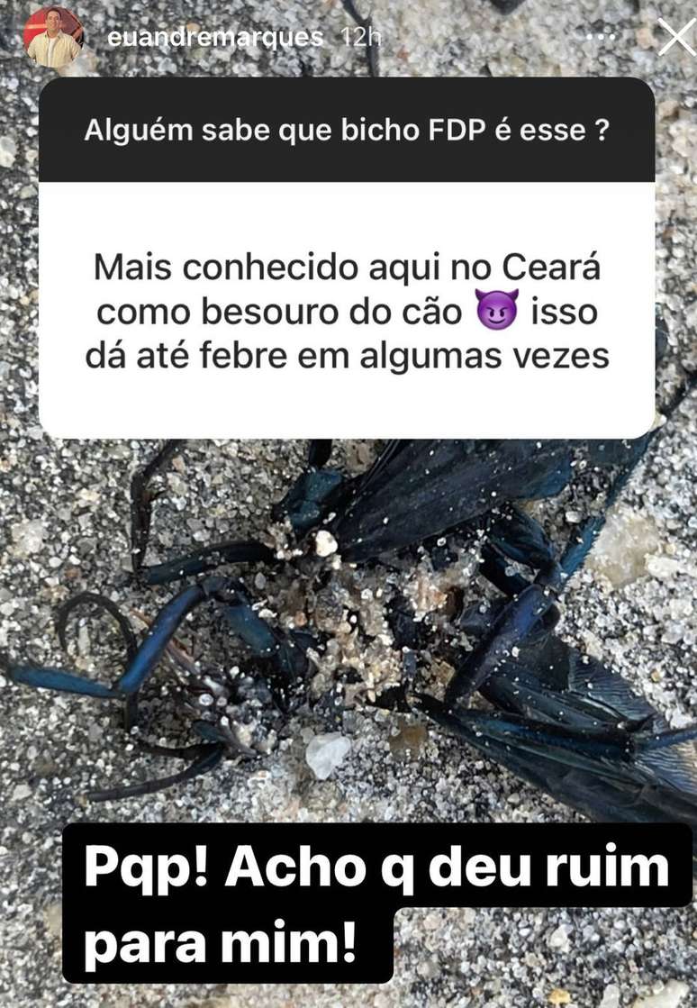 Internautas respondem questionamento de André Marques no Instagram